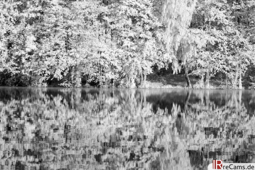 Am Pulower See | IR | 100 % | 100 mm | f/8,0 | 1/80 sec | ISO 100