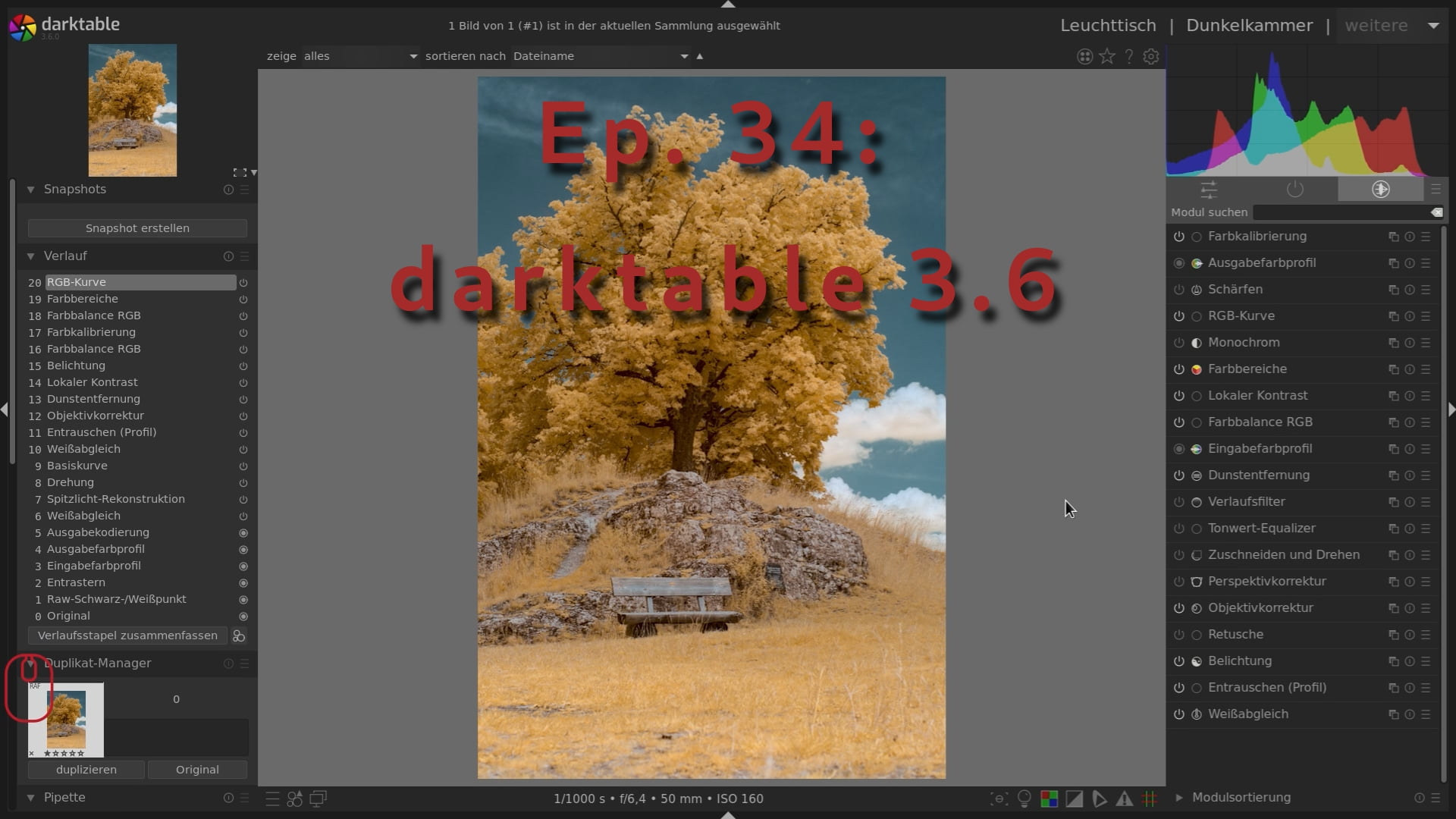 darktable 3.6 für Infrarot Bildbearbeitung