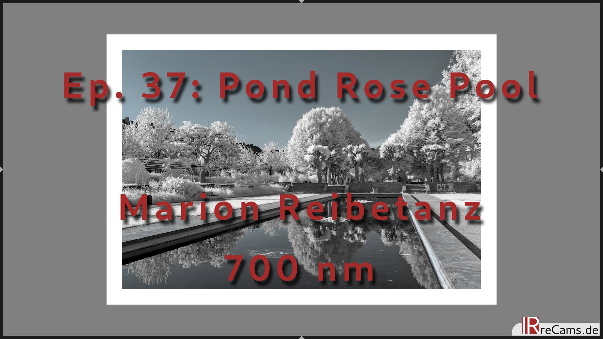 Ep. 37: Pond Rose Basin in Infrared - Colokey Image editing with 700 nm Filter
