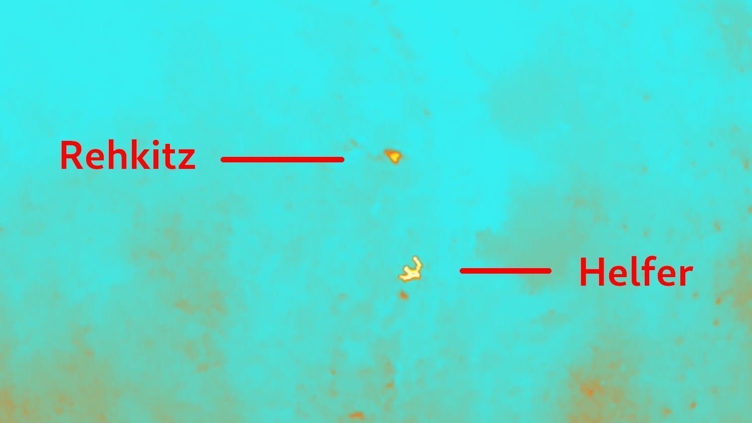 Wärmebildaufnahme während des Drohnenfluges