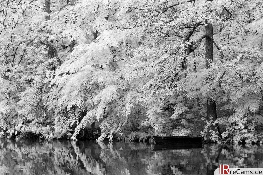 Am Pulower See | IR | 100 % | 100 mm | f/5,0 | 1/20 sec | ISO 100