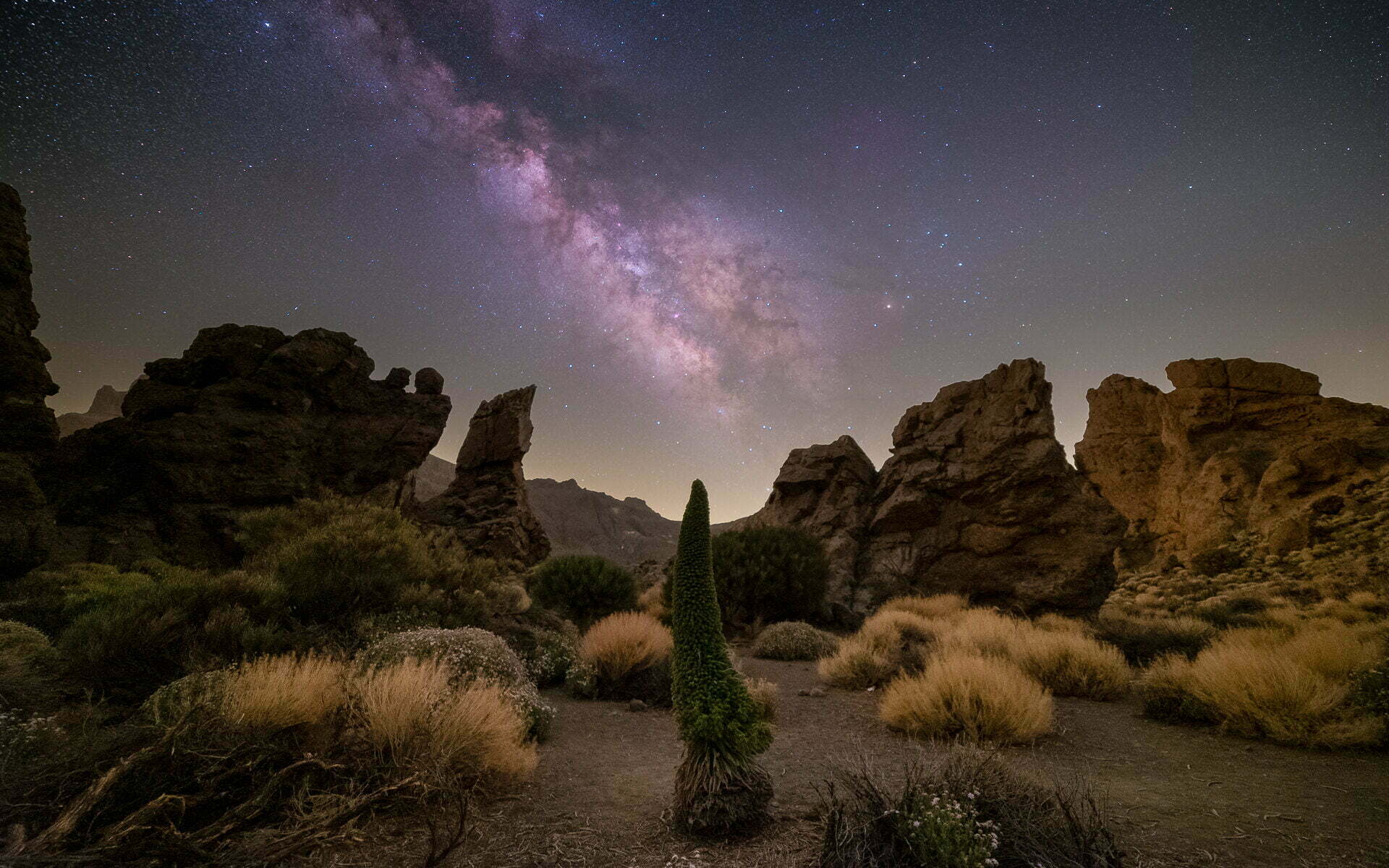Milchstraße im Teide Nationalpark 7 - Astromodifizierte Sony A7s - ©David Behne