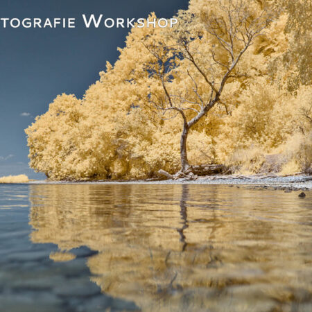 IR Workshop Rügen: May 23-25, 2025