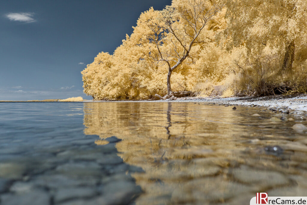 Spiegelung in Infrarot (630 nm)