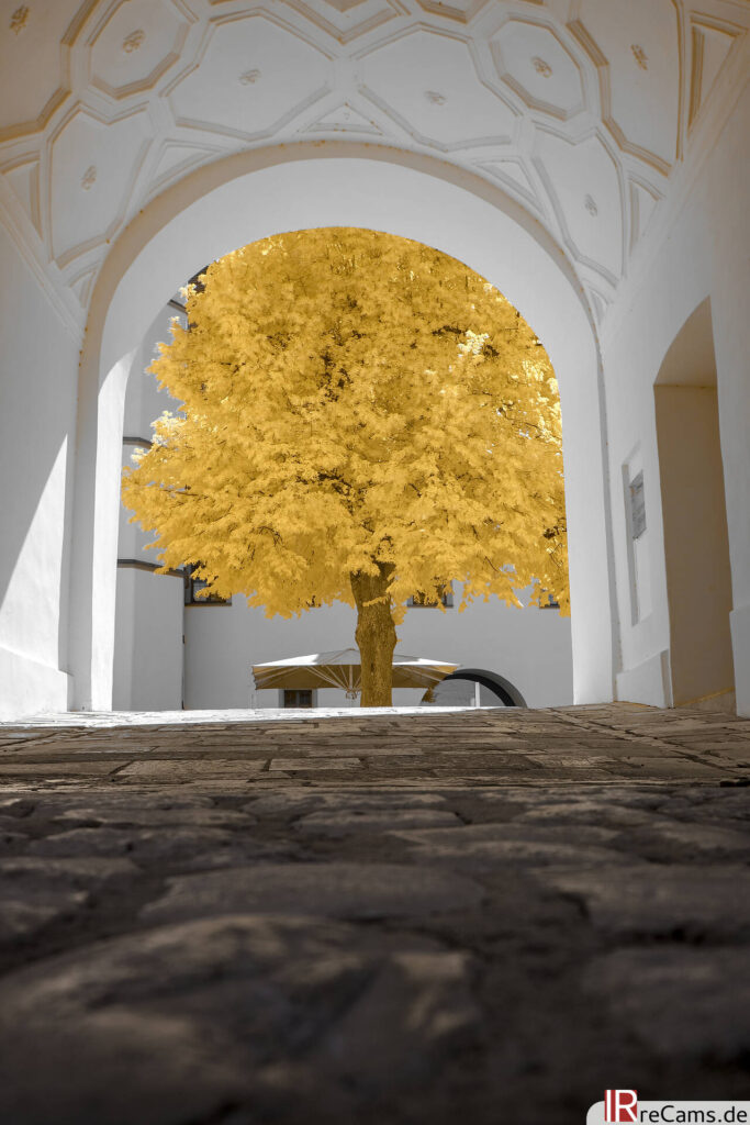Courtyard - InfraBlue